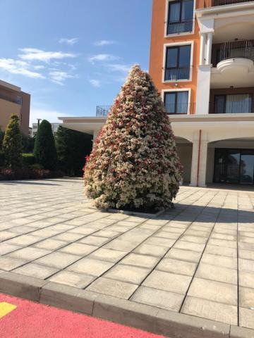 Single Apartment in Prestige Fort Beach Sveti Vlas Buitenkant foto